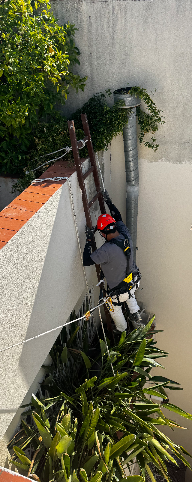 Pintura en trabajos verticales — foto 4