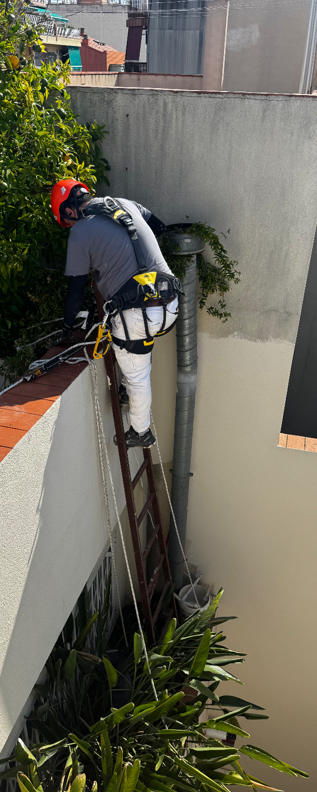 Pintura en trabajos verticales — foto 6