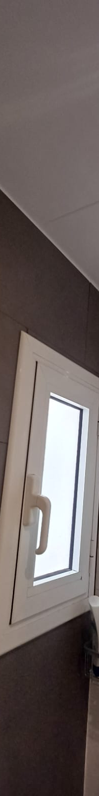 Miniatura 12
