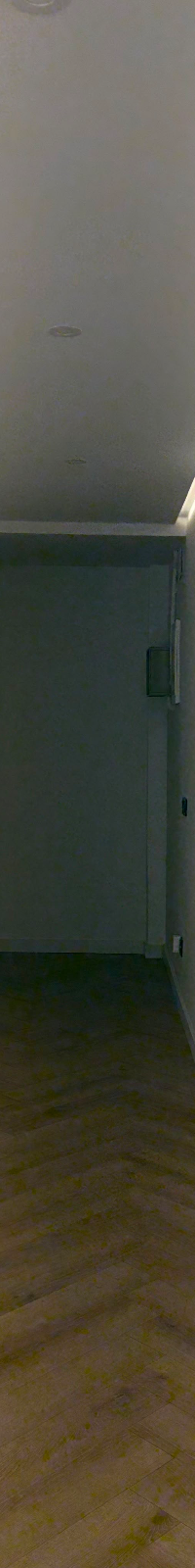Miniatura 12